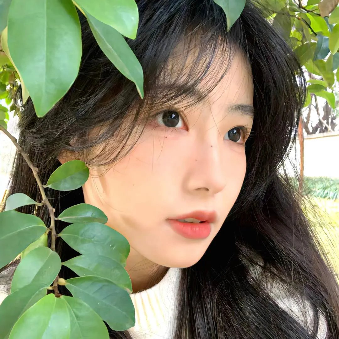 智慧风暴